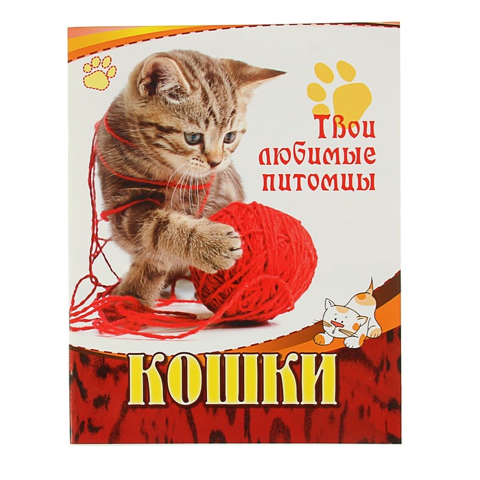 Твои любимые питомцы «Кошки»