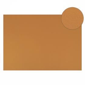 Картон цветной Sadipal Sirio двусторонний: текстурный/гладкий, 210 х 297 мм, Sadipal Fabriano Elle Erre, 220 г/м, бежевый
