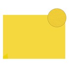 Картон цветной текстур 210*297 мм Sadipal Fabriano Elle Erre 220 г/м желтый яр. GIALLO 13202