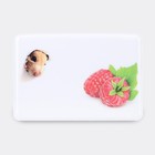 Cover for travel ticket "Mouse with raspberries", white