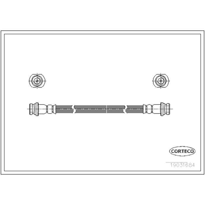 Шланг тормозной Corteco 19031684