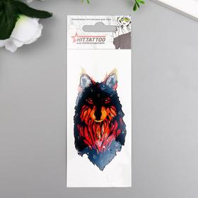 Татуировка на тело "Переводной волк" 5,6х12 см МИКС