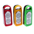Фонарь с петлёй для ношения, 2 LED, 3 ААА, микс, 5х13.5 см Фонарь с петлёй для ношения, 2 LED, 3 ААА, микс, 5х13.5 см