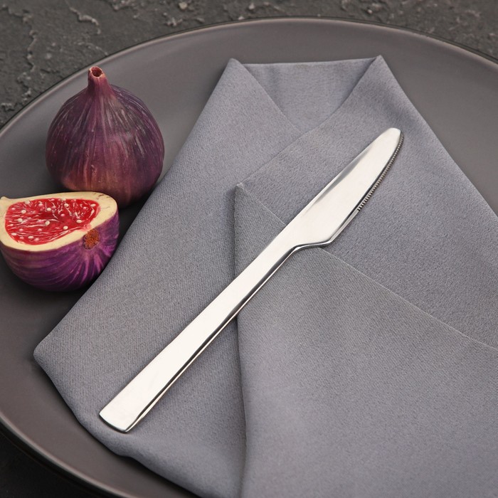Table knife 20 cm "new Gastro"