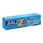 Зубная паста LION Salz Fresh, для слабых дёсен, 90 г - фото 5936744