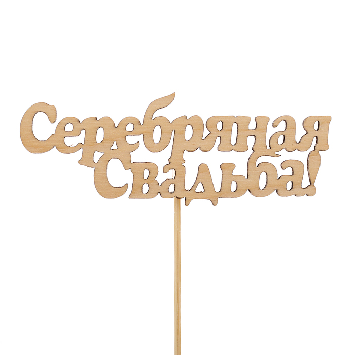 Топпер свадебный «Серебряная свадьба!», 10х4 см, неокрашенный