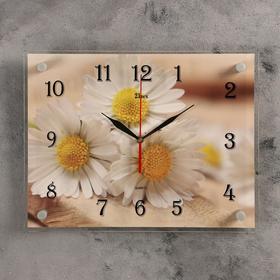 Часы настенные, серия: Цветы, "Милые ромашки", плавный ход, 30 х 40 см