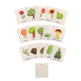 Обучающие карточки English «Растения»