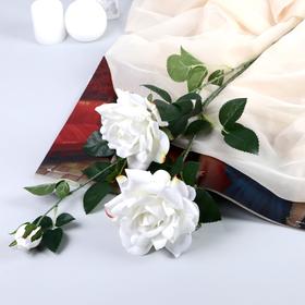 Artificial flowers of "rose of Provence" 11*100 cm, white