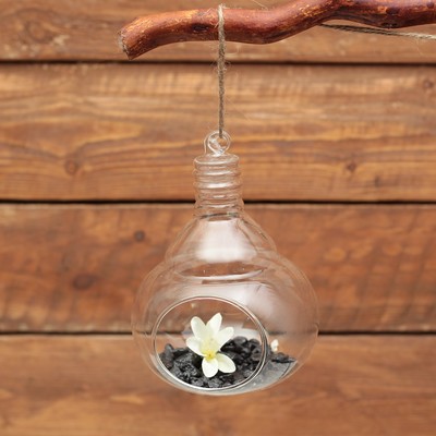 описание_картинки