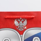 Пакет ламинированный вертикальный «23 февраля!», ML 23 × 27 × 11,5 см 2557314