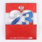 Пакет ламинированный вертикальный «23 февраля!», ML 23 × 27 × 11,5 см 2557314