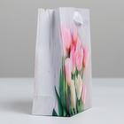 Пакет ламинированный вертикальный «С 8 марта!», S 12 × 15 × 5,5 см 2585764