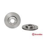 Диск тормозной Brembo 09946424 3110876 - фото 70635