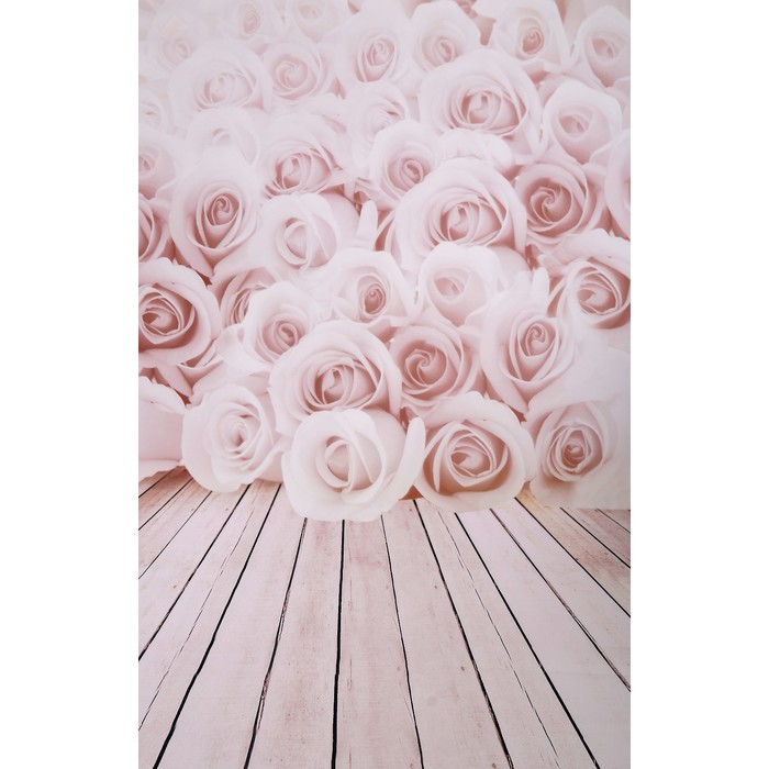 Фотофон винил "Розы" стена+пол 80х125 см