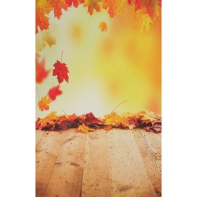 Фотофон винил "Осенний листопад" стена+пол 80х125 см