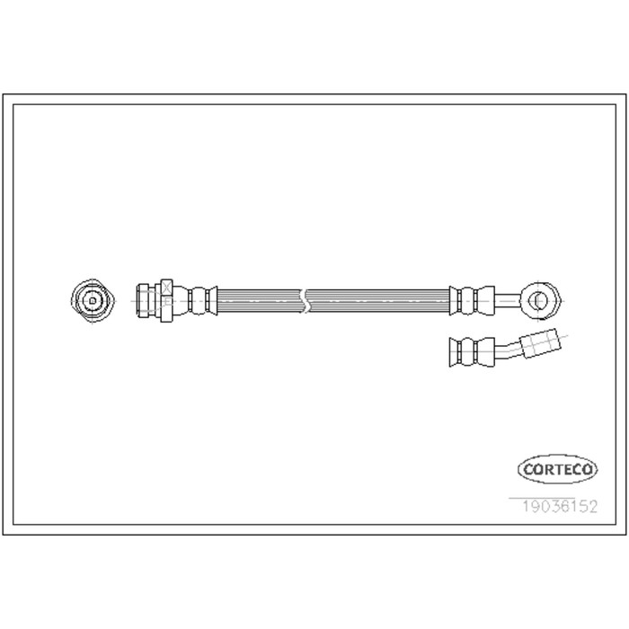 Шланг тормозной Corteco 19036152