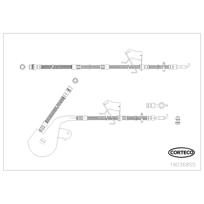 Шланг тормозной передний Corteco 19036855