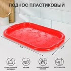 Поднос малый, цвет МИКС Поднос малый, цвет МИКС