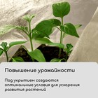 Материал укрывной, 10 × 1,6 м, плотность 60 г/м², с УФ-стабилизатором, белый, Greengo, Эконом 20% 3170590