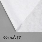 Материал укрывной, 5 × 1,6 м, плотность 60, с УФ-стабилизатором, белый, Greengo, Эконом Материал укрывной, 5 × 1,6 м, плотность 60, с УФ-стабилизатором, белый, Greengo, Эконом