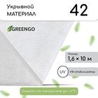 Материал укрывной, 10 × 1,6 м, плотность 42 г/м², с УФ-стабилизатором, белый, Greengo, Эконом 20% 3114111