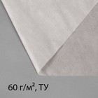 Материал укрывной, 10 × 3,2 м, плотность 60, с УФ-стабилизатором, белый, Greengo, Эконом Материал укрывной, 10 × 3,2 м, плотность 60, с УФ-стабилизатором, белый, Greengo, Эконом