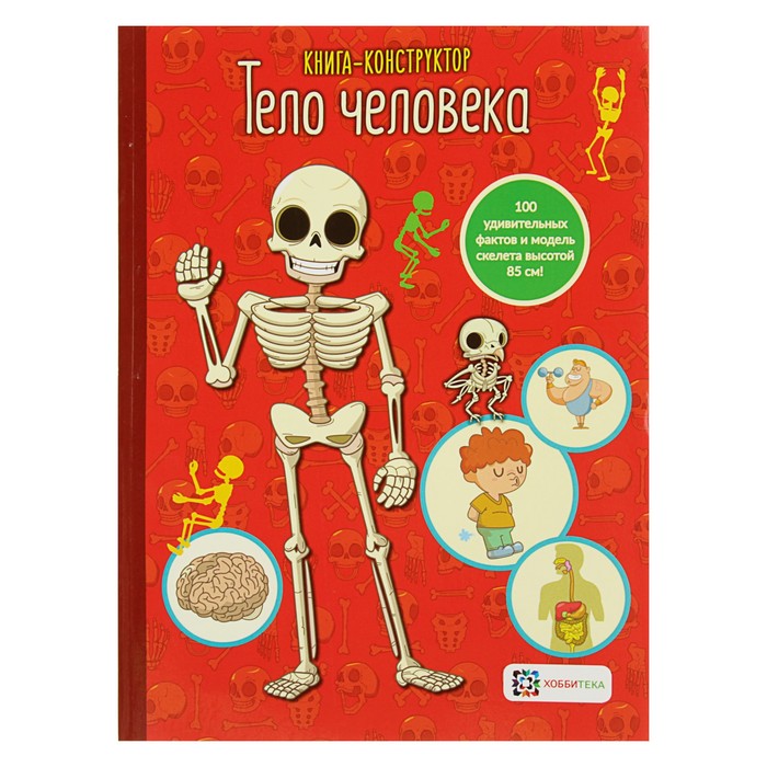 Книга - конструктор. Тело человека