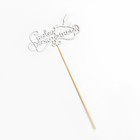 Топпер "С новорожденным" на подвесе Дарим Красиво 2858392