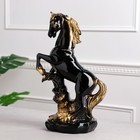 Статуэтка "Конь на дыбах", чёрная, гипс, 38 см, микс - фото 6590199