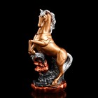 Статуэтка "Конь на дыбах", бронзовый цвет, гипс, 38 см, микс - фото 6590203
