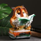 Копилка "Сова с книгами" 27см Копилка "Сова с книгами" 27см