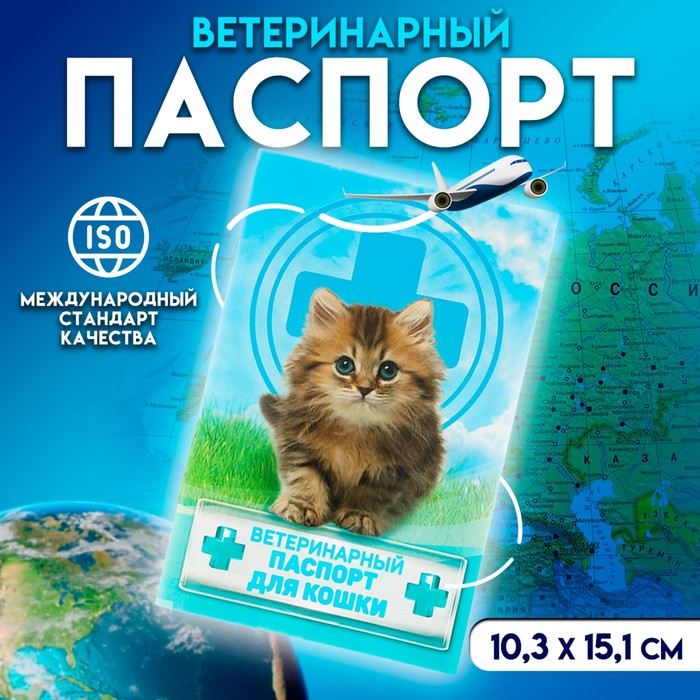 Ветеринарный паспорт "Для кошки" - фото 799038258