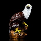 Статуэтка "Орел на камне", разноцветная, гипс, 38 см - фото 8266243