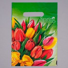 Пакет "Весна", полиэтиленовый с вырубной ручкой, 20 х 30 см, 30 мкм