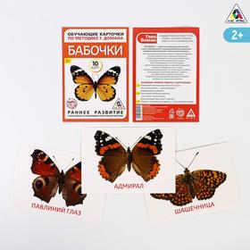{{photo.Alt || photo.Description || 'Обучающие карточки по методике Г. Домана «Бабочки», 10 карт, А6'}}