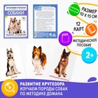 Flashcards on methodology of G. Doman "Dogs"