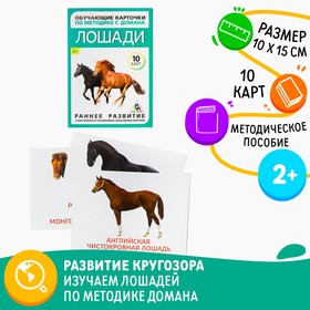 Обучающие карточки по методике Г. Домана «Лошади», 10 карт, А6 в Донецке
