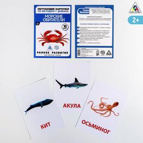 Обучающие карточки по методике Г. Домана «Морские обитатели», 10 карт, А6 в Донецке
