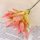Букет "Вытянутые лепестки" двухцветные 15 см, микс(цена за 1шт, фасовка 5шт) Букет "Вытянутые лепестки" двухцветные 15 см, микс(цена за 1шт, фасовка 5шт)