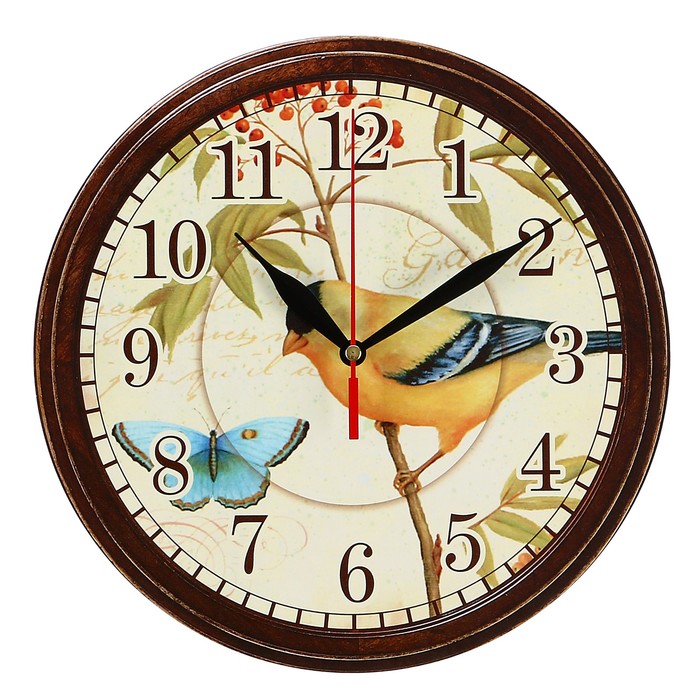 Часы птицы