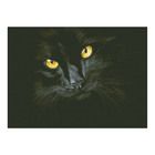Набор алмазной вышивки «Черная кошка» - фото 8145949