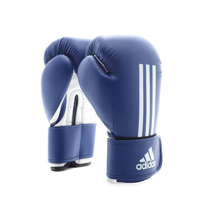 Боксерские перчатки Energy 100 Boxing Glove 8oz, цвет сине-белый