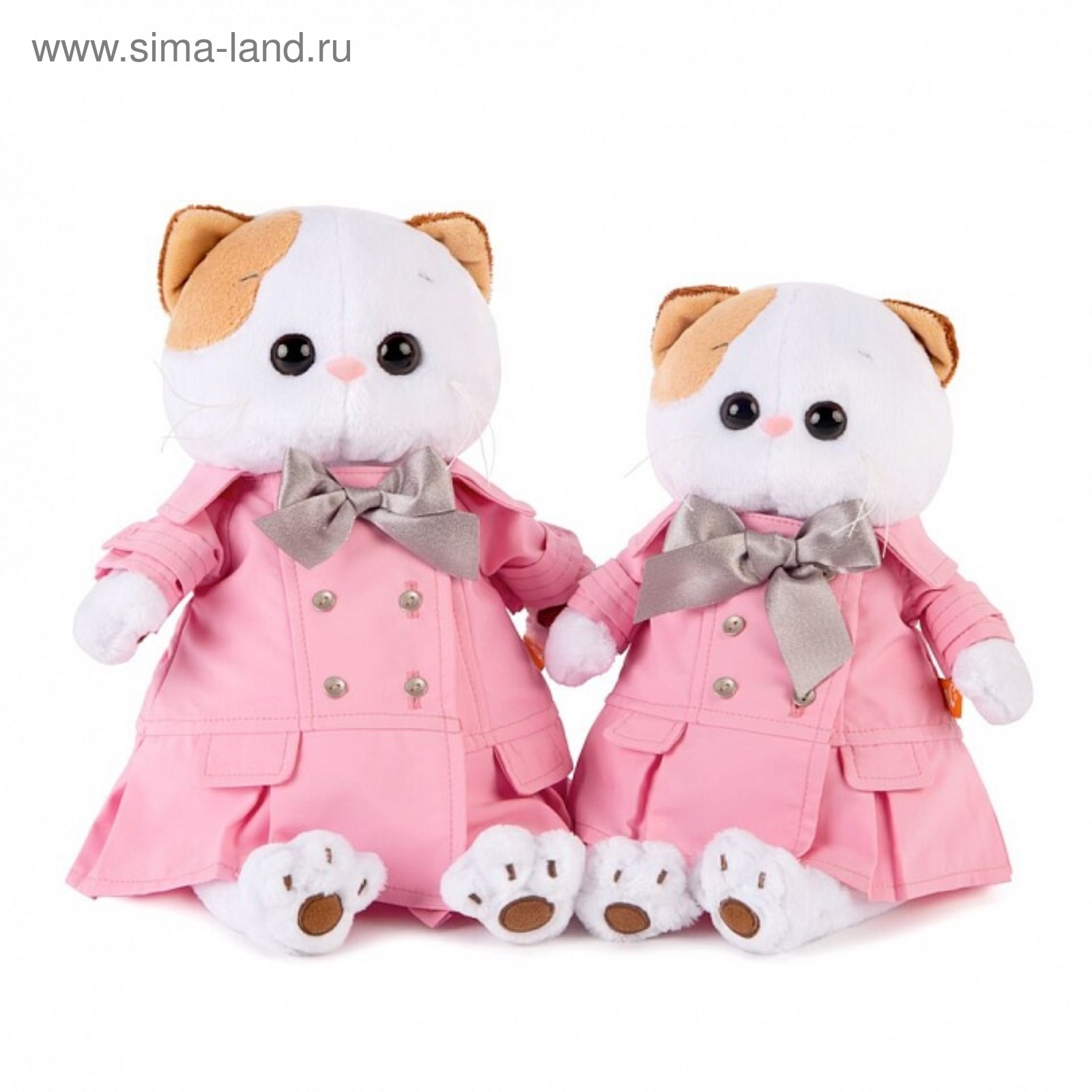 Кошки Ли Ли Фото