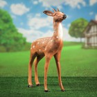 Садовая фигура "Косуля", 63 см Садовая фигура "Косуля", 63 см