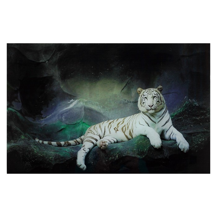 Тайгер 55. Белый тигр картина. Белый металлический тигр. Белая белый металлический тигр. Красивые картины для интерьера белый тигр.