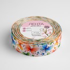 Лента репсовая «Бабочки», 25 мм, 18 ± 1 м, разноцветная 2785695