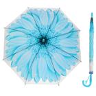 The umbrella-cane "gerbera", semi-automatic, with a whistle, R=41cm, color blue