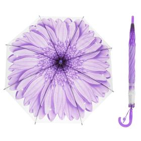 Зонт-трость «Гербера», полуавтоматический, со свистком, R=41см, цвет фиолетовый