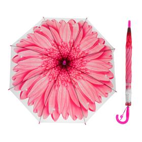 Зонт-трость «Гербера», полуавтоматический, со свистком, R=41см, цвет розовый в Донецке
